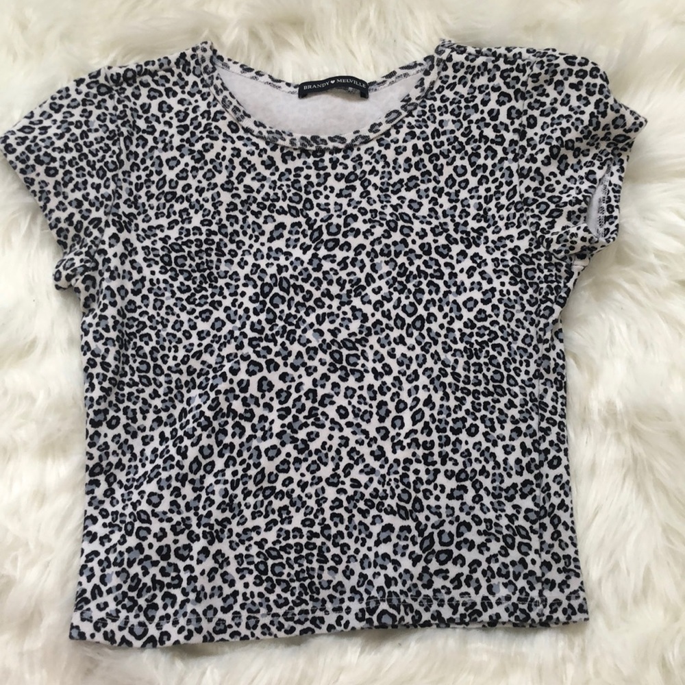 Brandy Melville Cheetah Print Crop Top